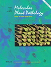 MOLECULAR PLANT PATHOLOGY雜志封面